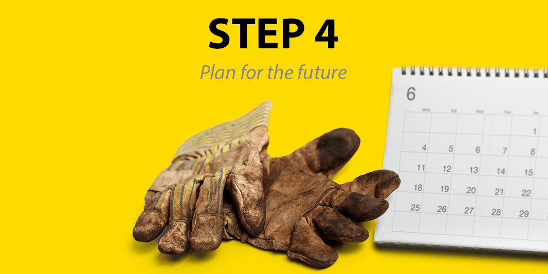 Step 4: Plan for the future