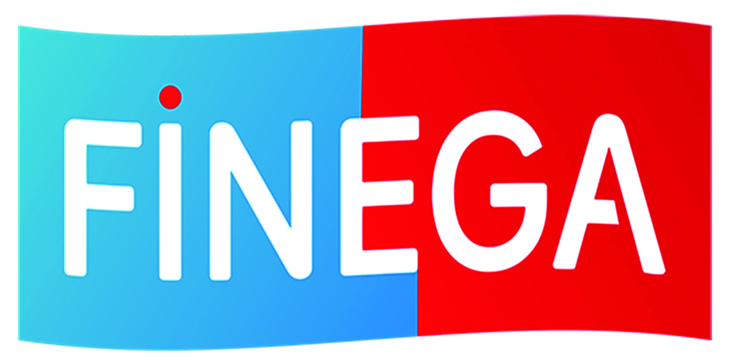 FINEGA GROUP