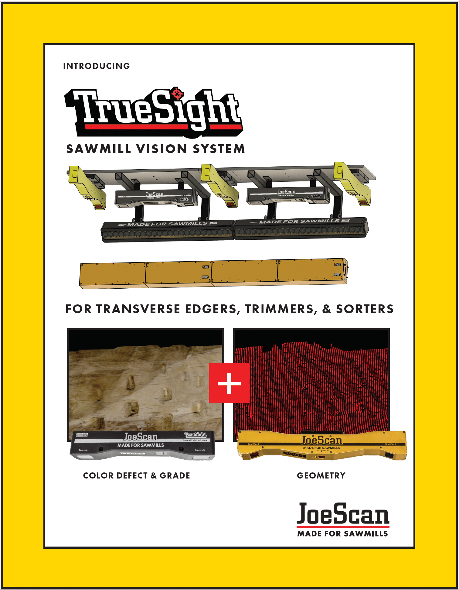 TrueSight Sawmill Vision System Introduction
